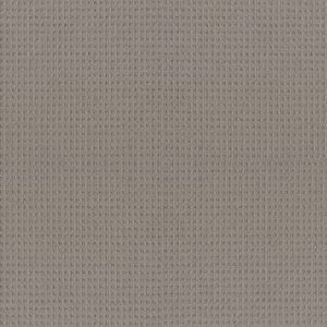 FRAMED VIEW by Shaw Floors - Industrial