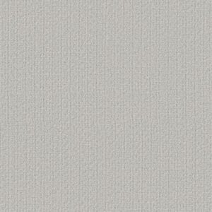 SECRET PASSAGE by Shaw Floors - English Streets