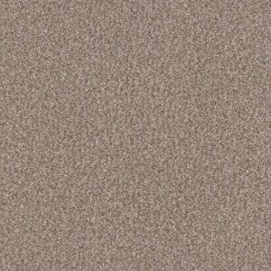 YES YOU CAN III 15' by Shaw Floors - Glacier