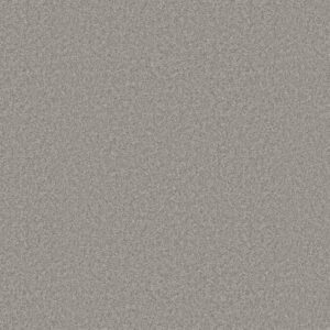 YOU GOT THIS I by Shaw Floors - Rock Crystal