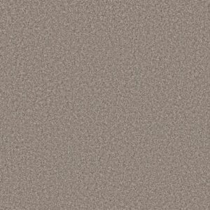 ARTISTIC FUSION II by Shaw Floors - Warm Light