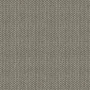 MODESTA by Shaw Floors - Foggy Haze