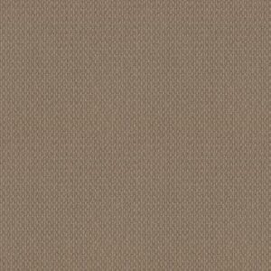 MODESTA by Shaw Floors - Desert Suede