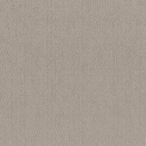 FEISTY NET by Shaw Floors - Birch