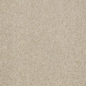 CANVAS by Shaw Floors - Frost