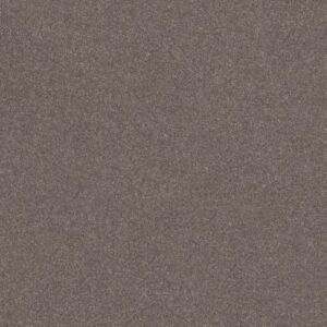 SMOOTH TALK I by Shaw Floors - Urban Taupe
