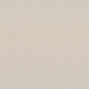 HARD AT PLAY I 15' by Shaw Floors - Snowfall