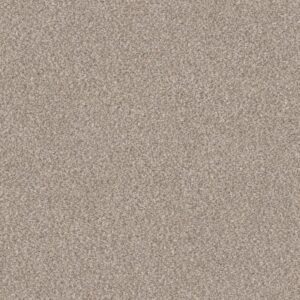 TRUSPIRIT II by Shaw Floors - Mist