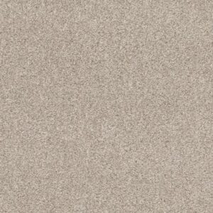 CALM SERENITY I by Shaw Floors - Washed Linen