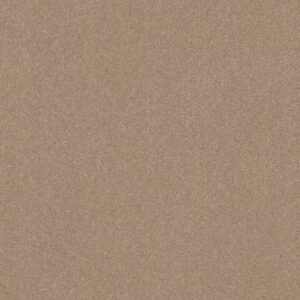 WELL GROUNDED II 15 by Shaw Floors - Raw Lumber