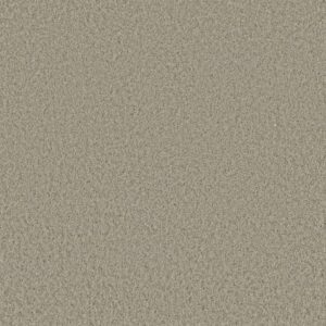 FREE TIME by Shaw Floors - Abalone