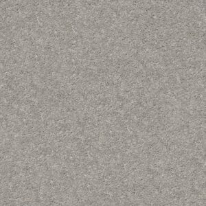 AFTER ALL II by Shaw Floors - Pebble Creek