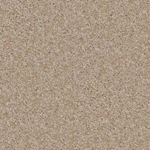 VICTORY by Shaw Floors - Shell Island
