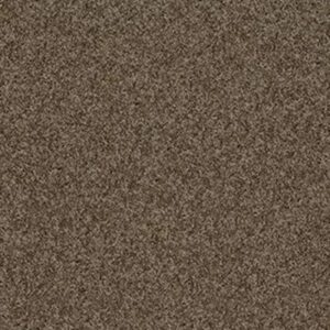 MY INSPIRATION I by Shaw Floors - Weathered Wood