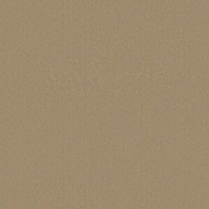 MAGIC AT LAST IV 15' by Shaw Floors - Shell