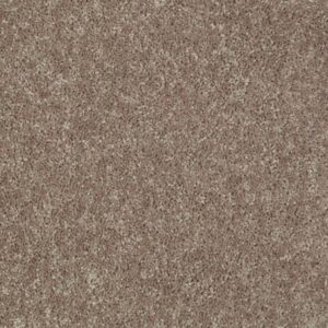 BRICEVILLE CLASSIC 12 by Shaw Floors - River Slate