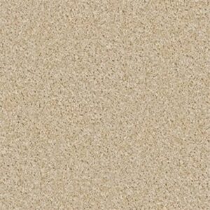 DREAMIN' 12' by Shaw Floors - Muslin