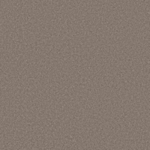 MOMENTUM I by Shaw Floors - Rockslide