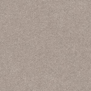 MOMENTUM I by Shaw Floors - Boutique