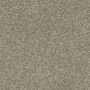 ALL OVER IT I by Shaw Floors - Clay