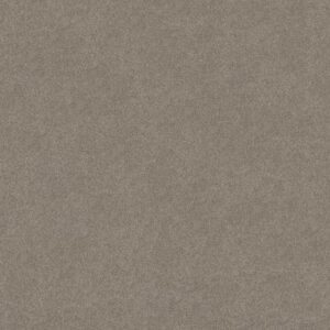 KEEN SENSES II by Shaw Floors - Lady In Gray