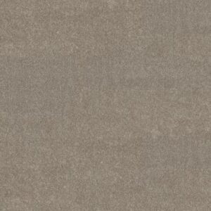 BASIC RULES by Shaw Floors - Flax