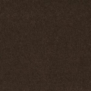 SANDY HOLLOW CLASSIC I 12' by Shaw Floors - Tundra