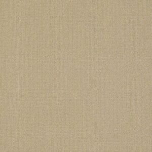 COLOR ACCENTS 18 X 36 by Philadelphia Commercial - Cashmere