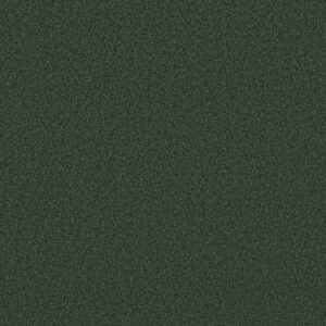 TONAL COMFORT II by Shaw Floors - Magnolia Branch