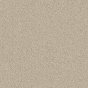 TONAL COMFORT II by Shaw Floors - Happy Place