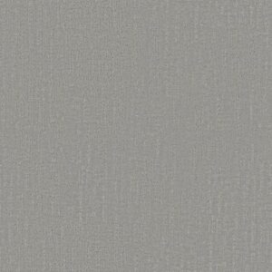 ENDLESS MEMORIES by Shaw Floors - Restful Day