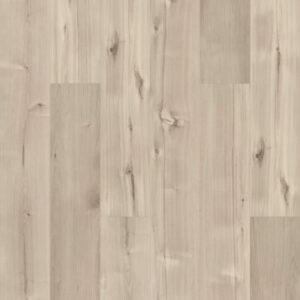 Symbiotic 5.0 by Shaw Floors - Canvas