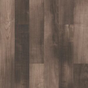 Symbiotic 5.0 by Shaw Floors - Sorrel