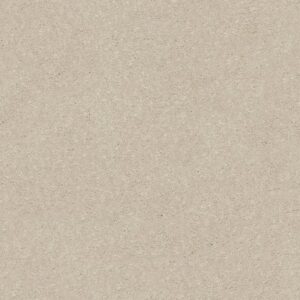 SOLIDIFY I 12' by Shaw Floors - Bleached