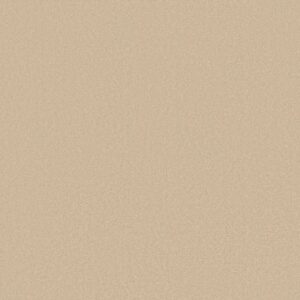 AWAKEN SPIRIT II 12' by Shaw Floors - Sunlight