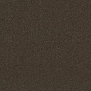 AWAKEN SPIRIT II 15' by Shaw Floors - Wood Grain