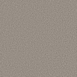 TWEED COMFORT II by Shaw Floors - Stand Out