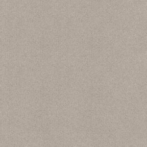TONAL COMFORT I by Shaw Floors - Need A Hug