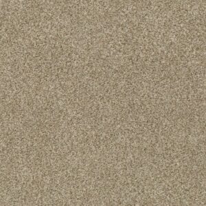 TONAL COMFORT I by Shaw Floors - Honey Tea