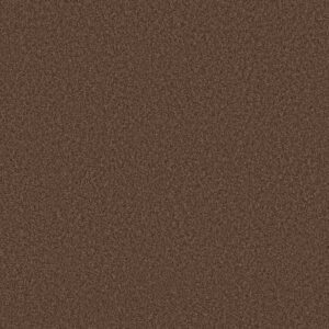 TONAL COMFORT I by Shaw Floors - Chili