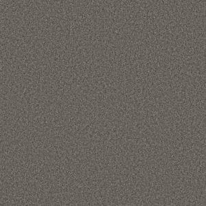 TWEED COMFORT I by Shaw Floors - Anchor Down