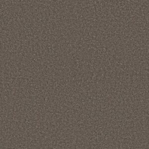 ULTRA LUSH by Shaw Floors - Cappuccino
