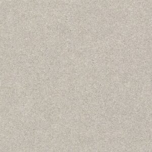 YOUR COMFORT I by Shaw Floors - Chill In The Air