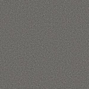 RENEWED ENERGY II by Shaw Floors - Paris Sky