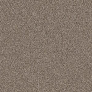 ALWAYS RIGHT I by Shaw Floors - Goose Feather