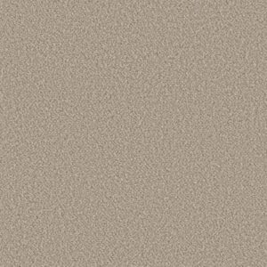 BEST YET by Shaw Floors - Cottage