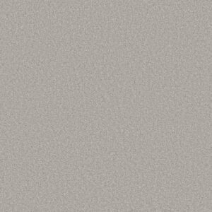 TRUSOLUTIONS II by Shaw Floors - Clear Sky