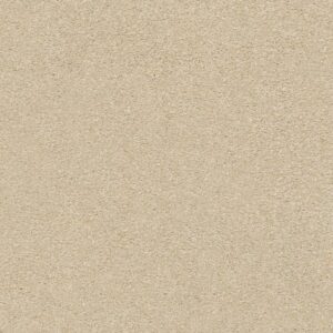 YOUR COMFORT II by Shaw Floors - Sun Kissed