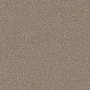 ALWAYS RIGHT II by Shaw Floors - Parchment