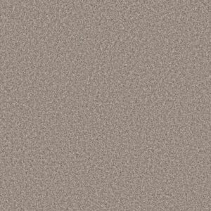 REMIXED CLASSIC by Shaw Floors - Pebble